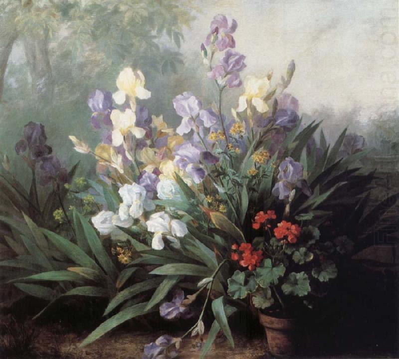 Barbara Bodichon Landscape with Irises china oil painting image